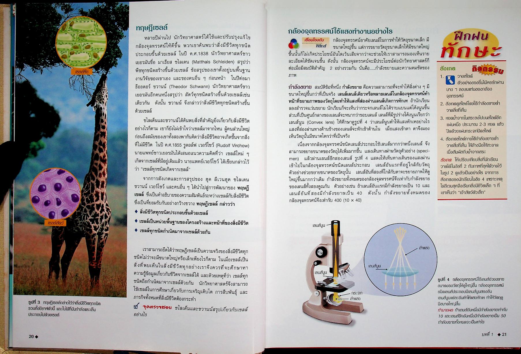 สำรวจโลกวิทยาศาสตร์ เซลล์และพันธุกรรม