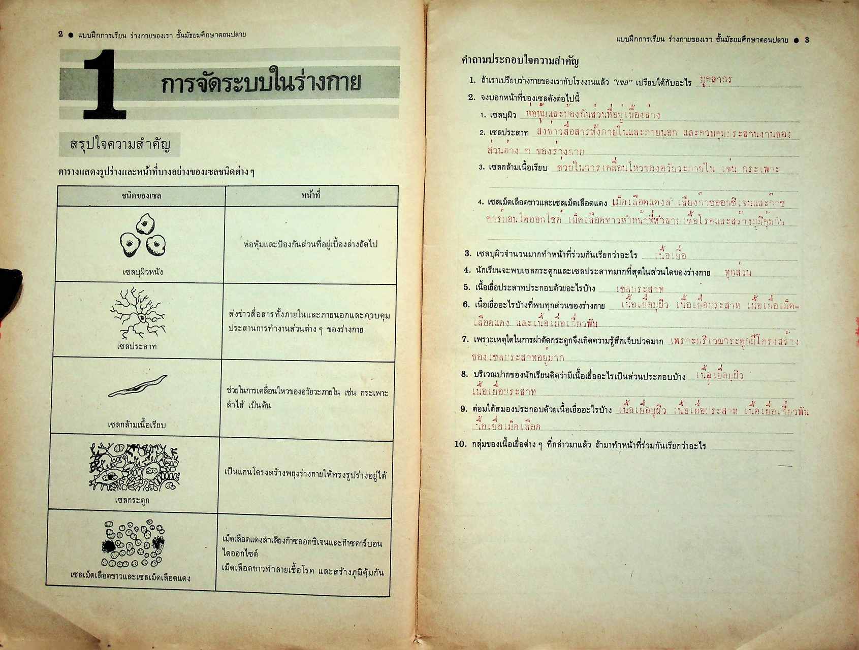 คู่มือครู-เฉลย แบบฝึกการเรียน วิชาวิทยาศาสตร์กายภาพชีวภาพ ร่างกายของเรา ตามหลักสูตรมัธยมศึกษาตอนปลาย พุทธศักราช ๒๕๒๔