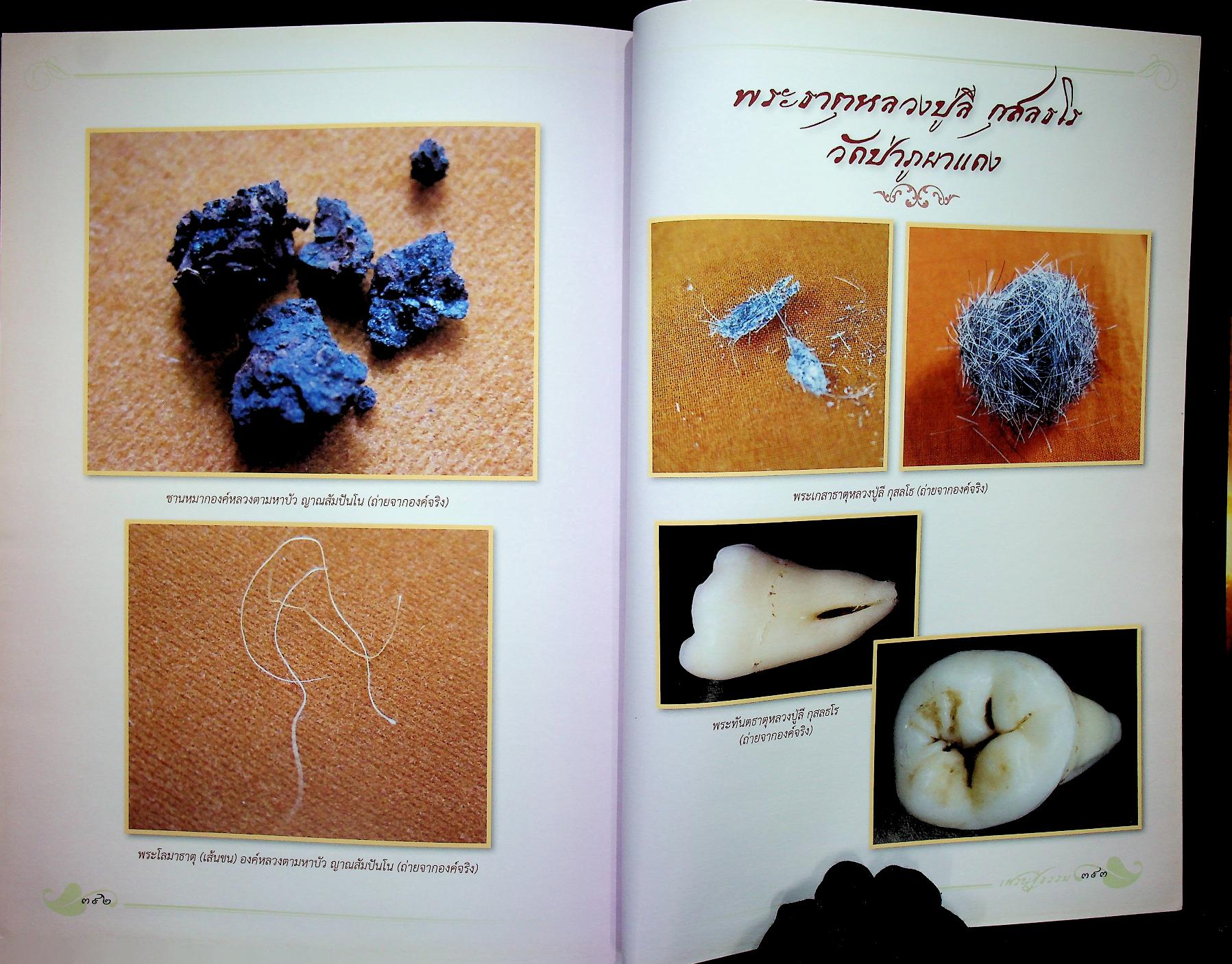 เศรษฐีธรรม คติธรรมและชีวประวัติ หลวงปู่ลี กุสลธโร