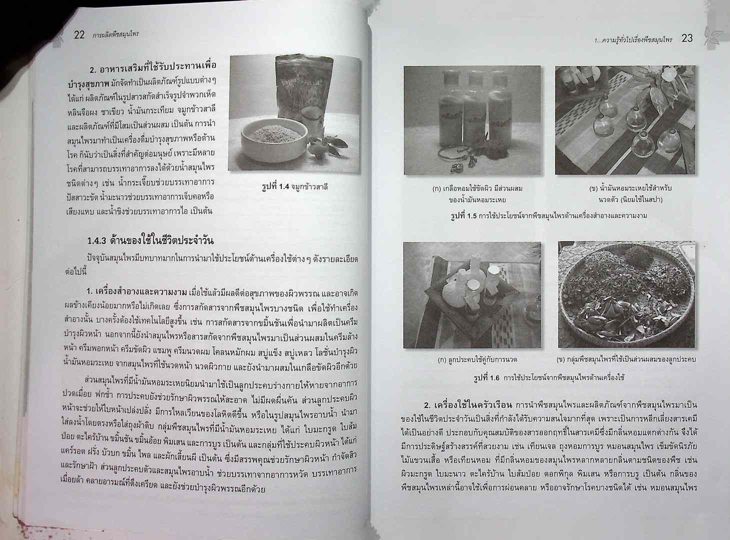 การผลิตพืชสมุนไพร