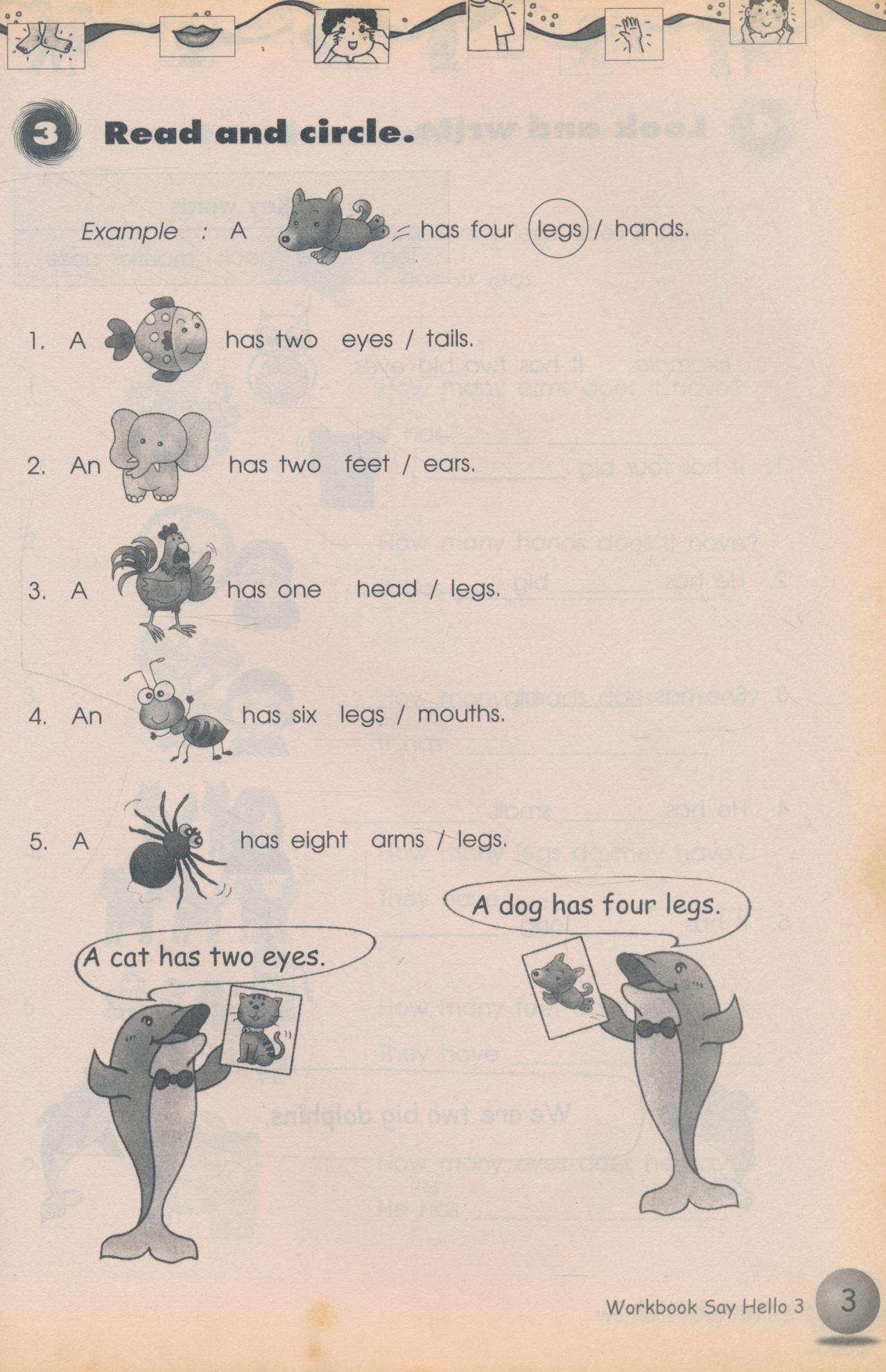 WORKBOOK Say Hello 3