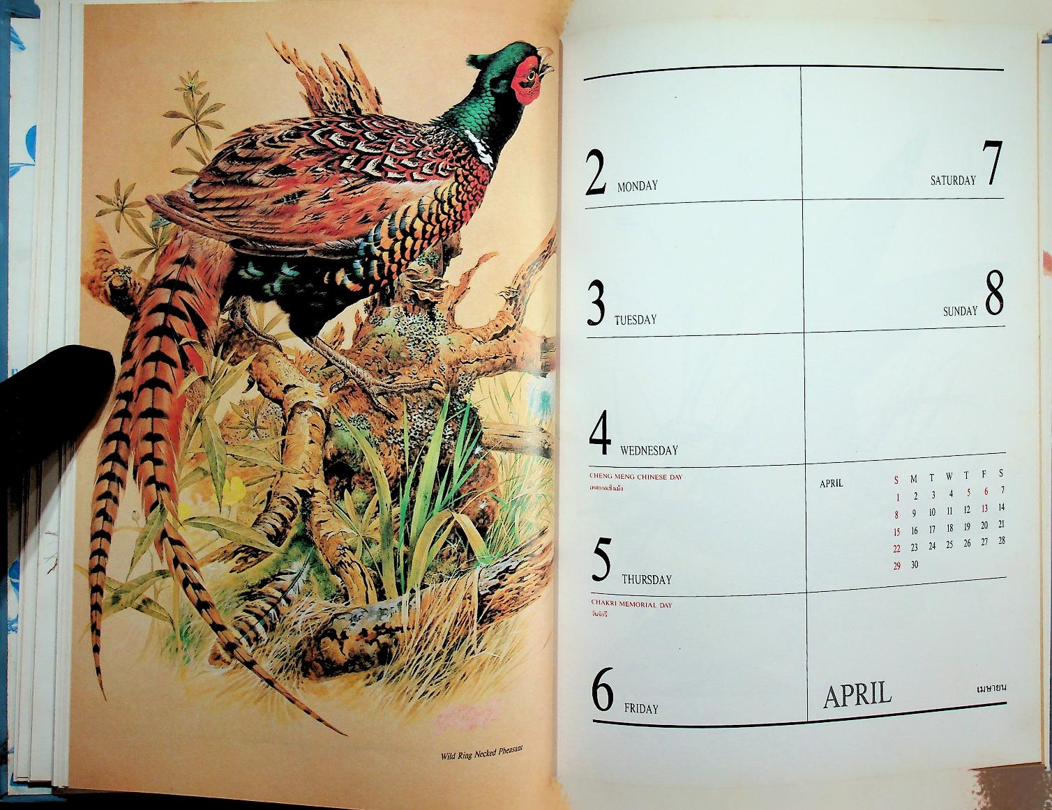 สมุดไดอารี่ ภาพวาดนก EXOTIC BIRDS : CENTRAL DIARY 1990