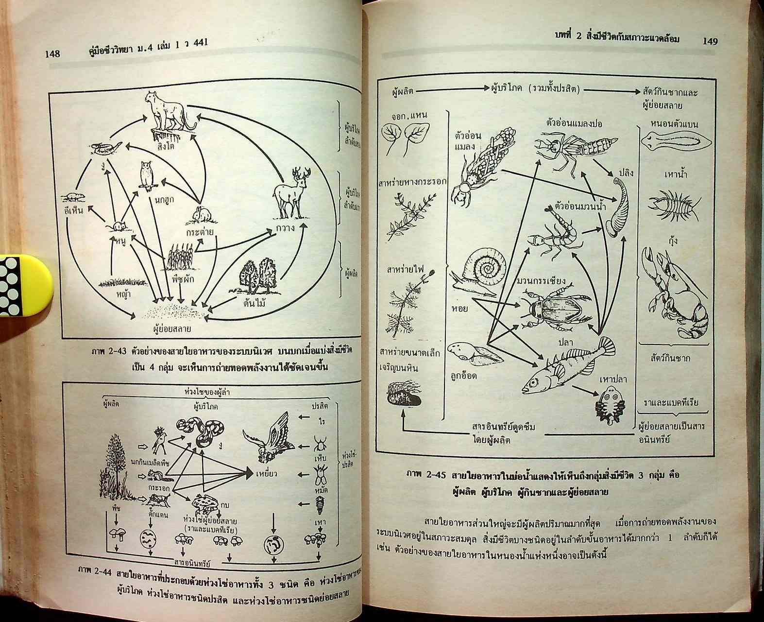 ชีววิทยา ม.4 เล่ม 1 ว 441