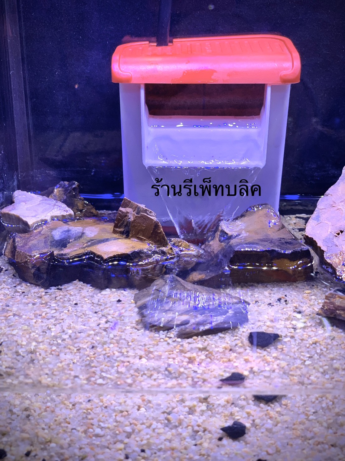 เซ็ตเริ่มต้นสำหรับเลี้ยงเต่า ตู้โค้งขนาด 12 นิ้ว เครื่องกรองน้ำขนาดเล็ก ไฟหนีบด้านข้างแสงฟ้า-ขาว หินและทรายแม่น้ำนำเข้า 1 Kg