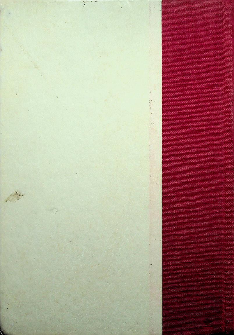 THE RISE OF INDUSTRIAL AMERICA