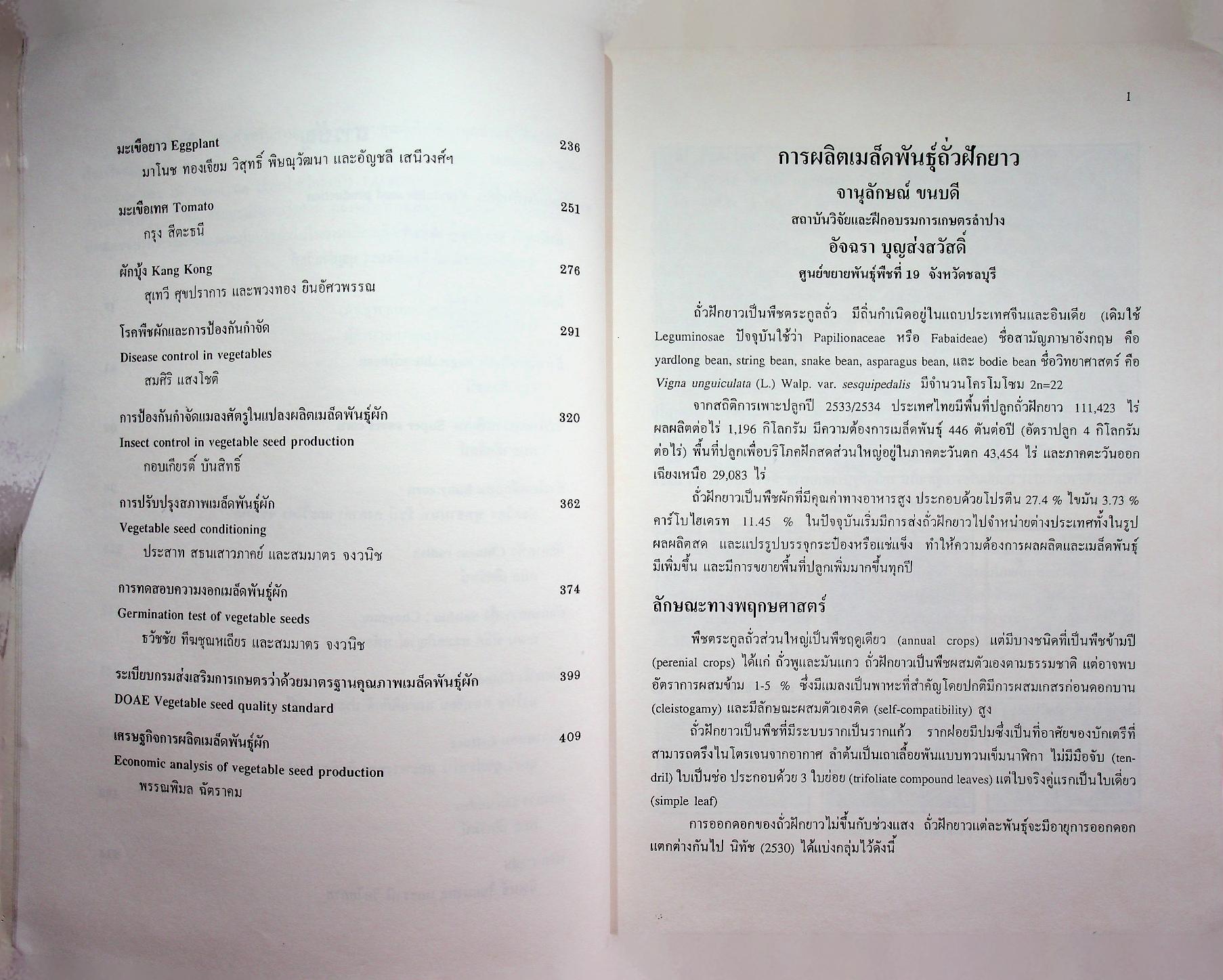 การผลิตเมล็ดพันธุ์ผัก