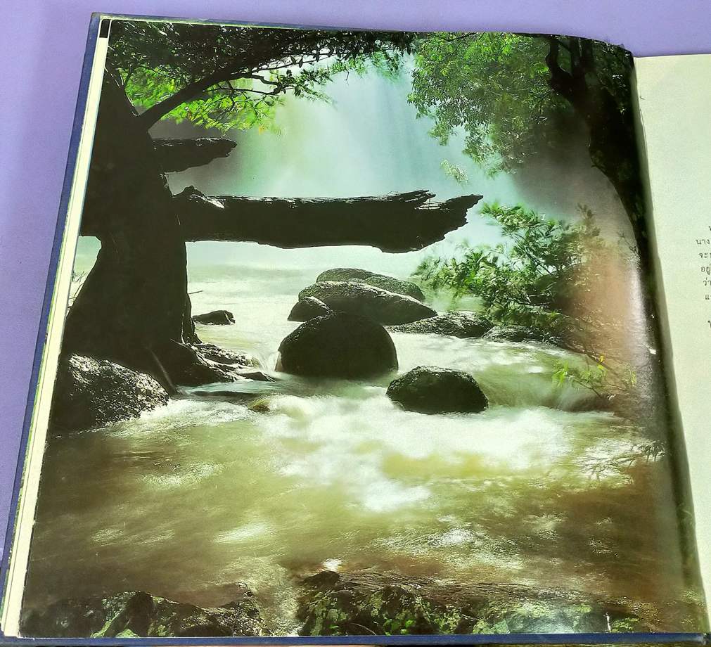 สมเด็จพระนางเจ้าสิริกิติ์ พระบรมราชินีนาถกับสิ่งแวดล้อม