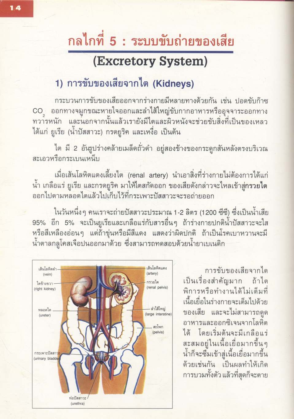 หนังสือส่งเสริมการอ่าน วิชาวิทยาศาสตร์ ชุดสิ่งที่มีชีวิต เรื่อง กลไกในร่างกายมนุษย์