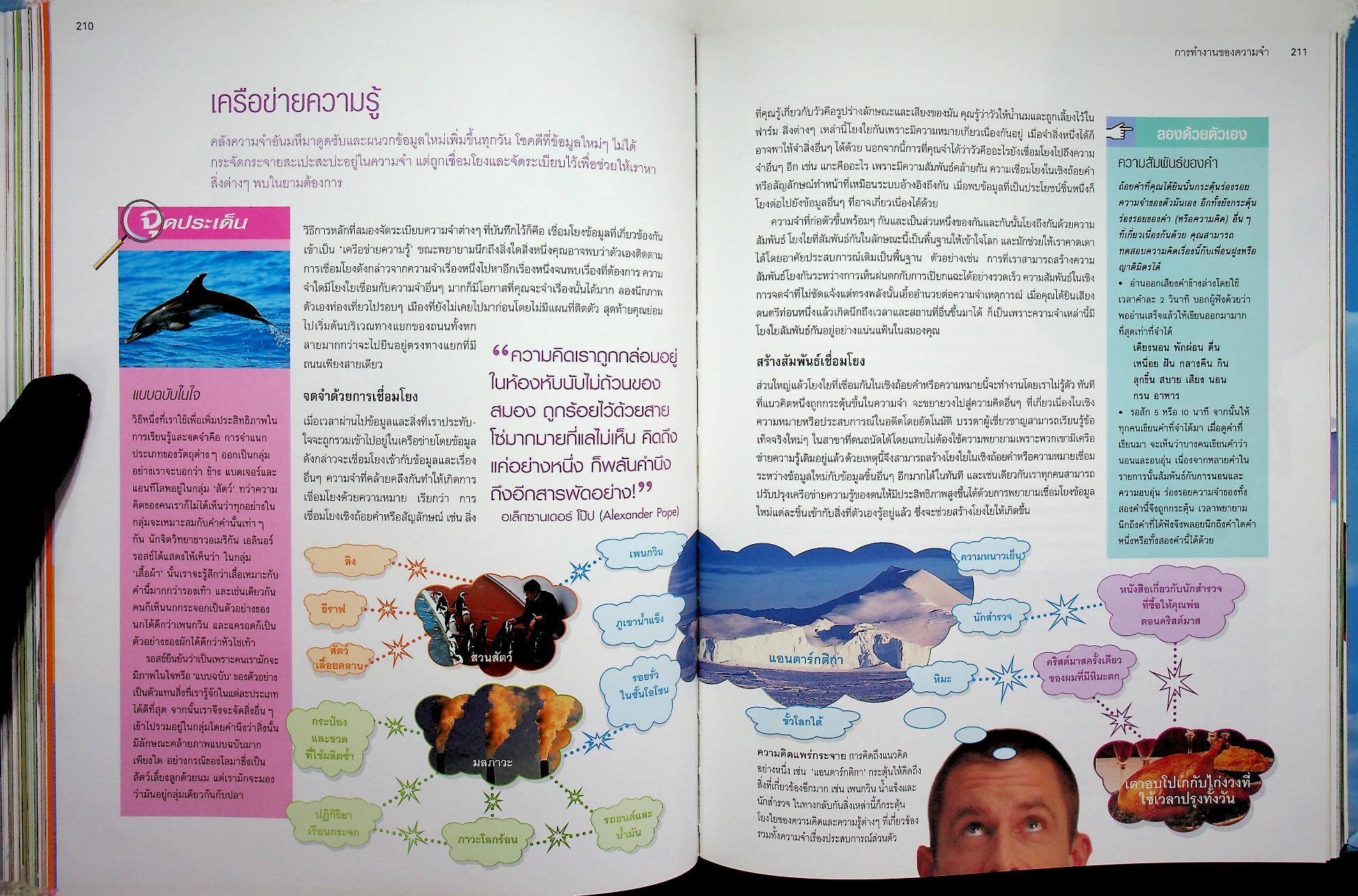 เพิ่มประสิทธิภาพพลังสมอง