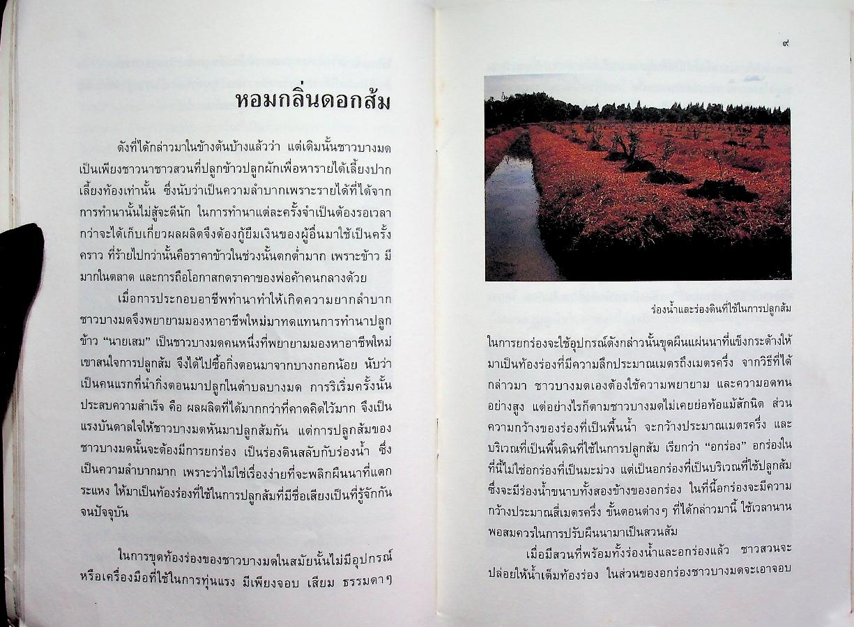 หนังสือเสริมประสบการณ์ เหลือเพียงชื่อ