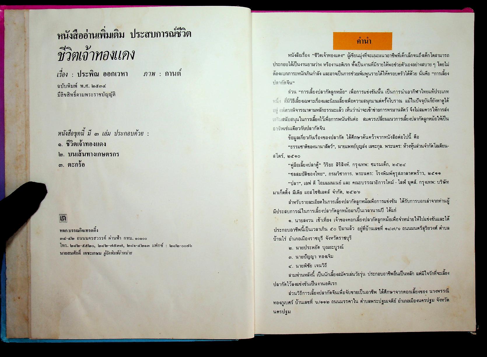 หนังสืออ่านเพิ่มเติมประสบการณ์ชีวิต ชีวิตเจ้าทองแดง