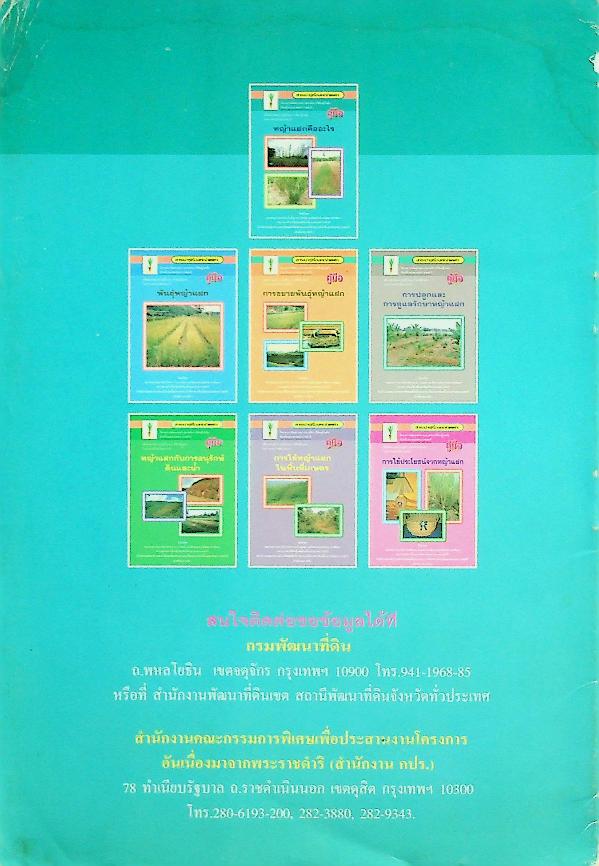 สาระน่ารู้เรื่องหญ้าแฝก เรื่อง หญ้าแฝกคืออะไร