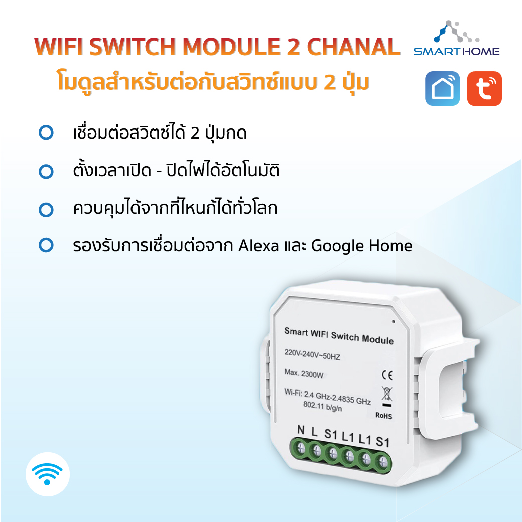 SmartLife Wifi switch module 2CH