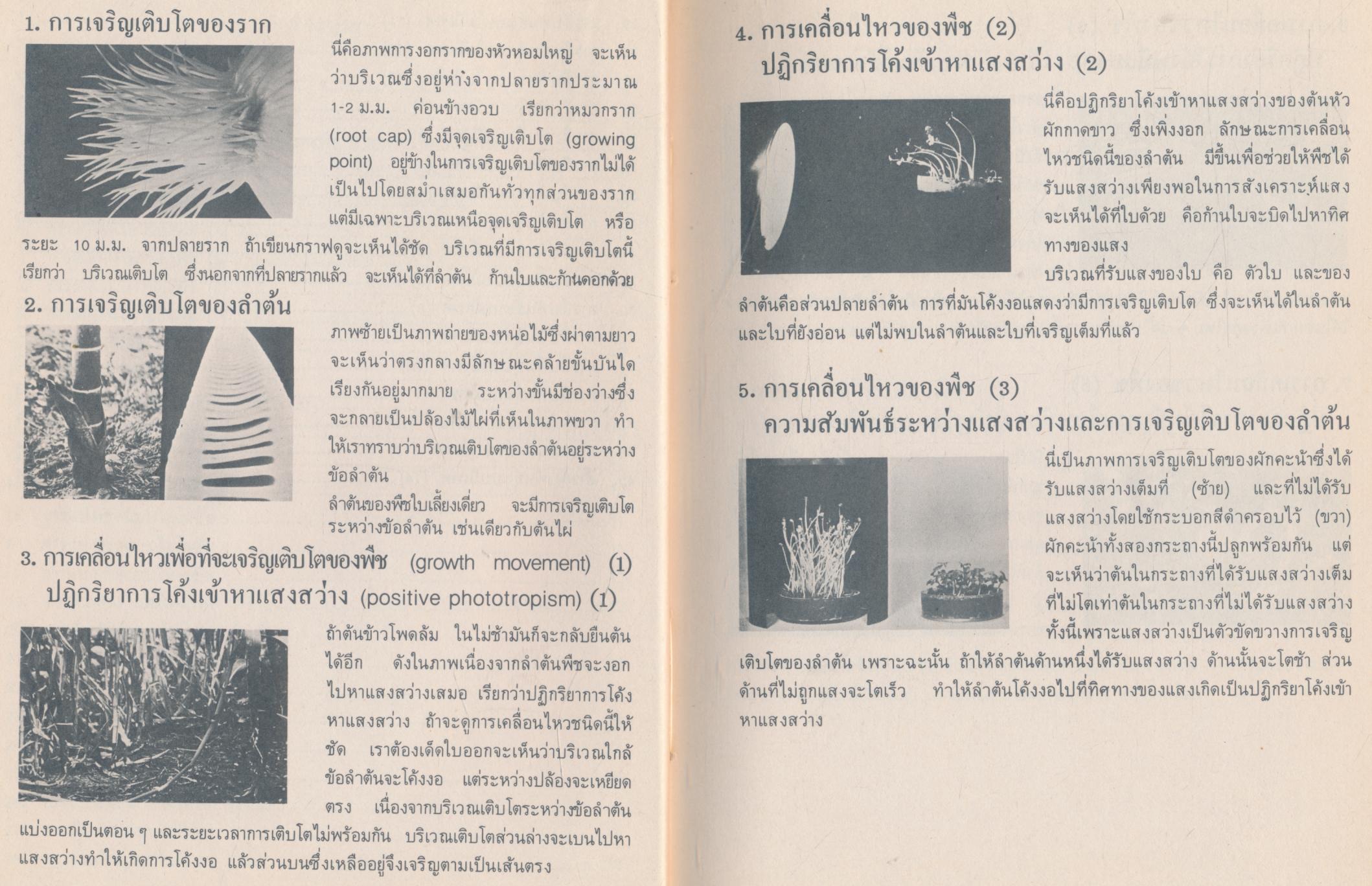 คู่มือสไลด์วิทยาศาสตร์ จัดทำโดย มูลนิธิญี่ปุ่น