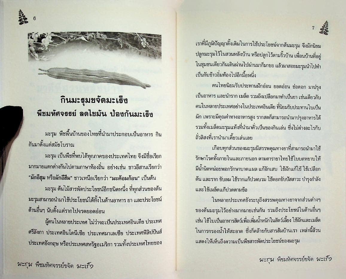 มะรุม พืชมหัศจรรย์ขจัดมะเร็ง