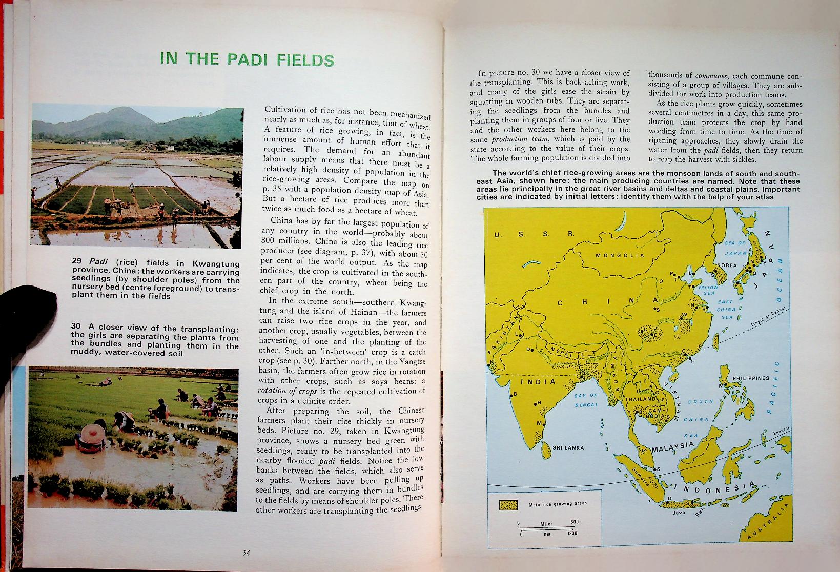 MAN AND HIS WORLD : FOOD