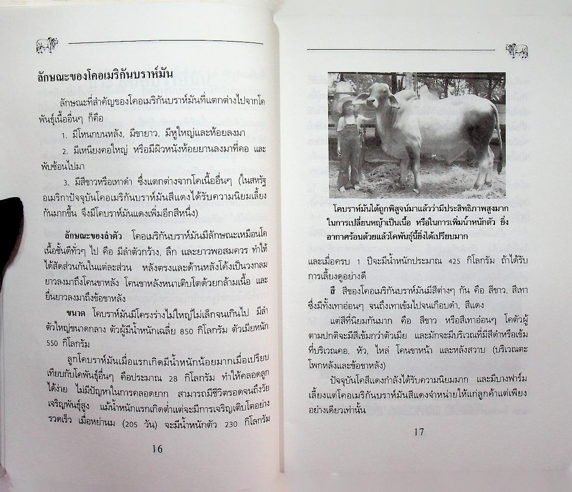 คู่มือการเลี้ยง โคบราห์มัน