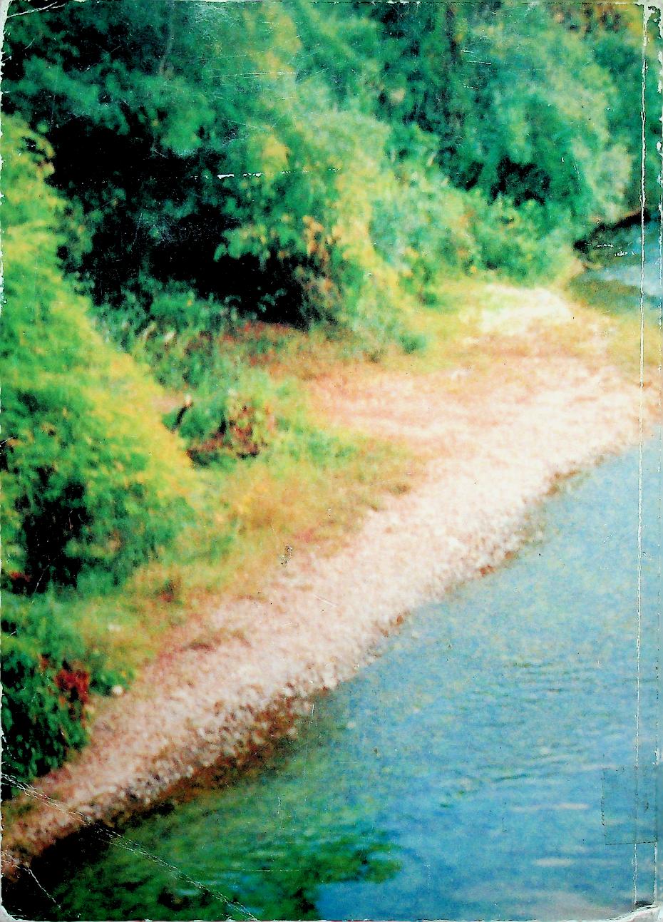 ๓๐ ปี พระธรรมจาริก