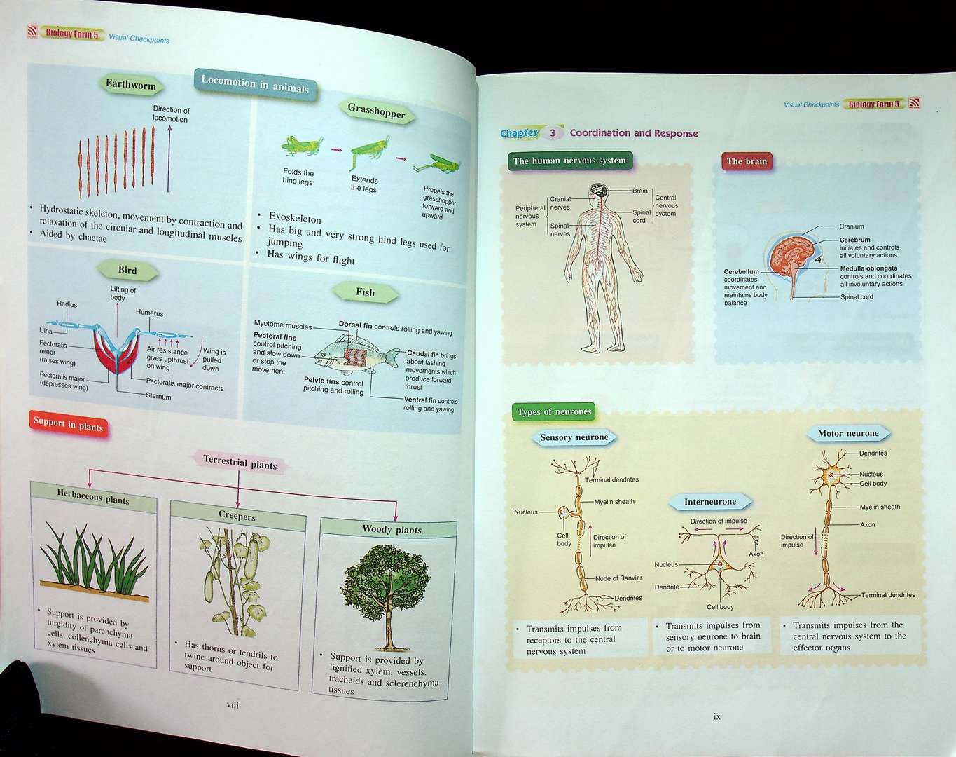 FOCUS EXCEL BIOLOGY Form5