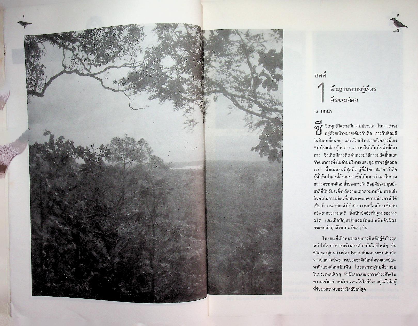 การอนุรักษ์สิ่งแวดล้อม