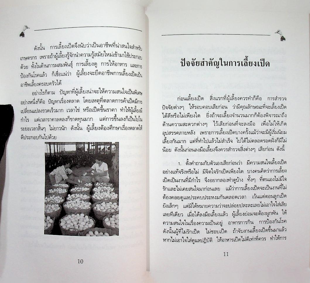 การเลี้ยงเป็ดไข่