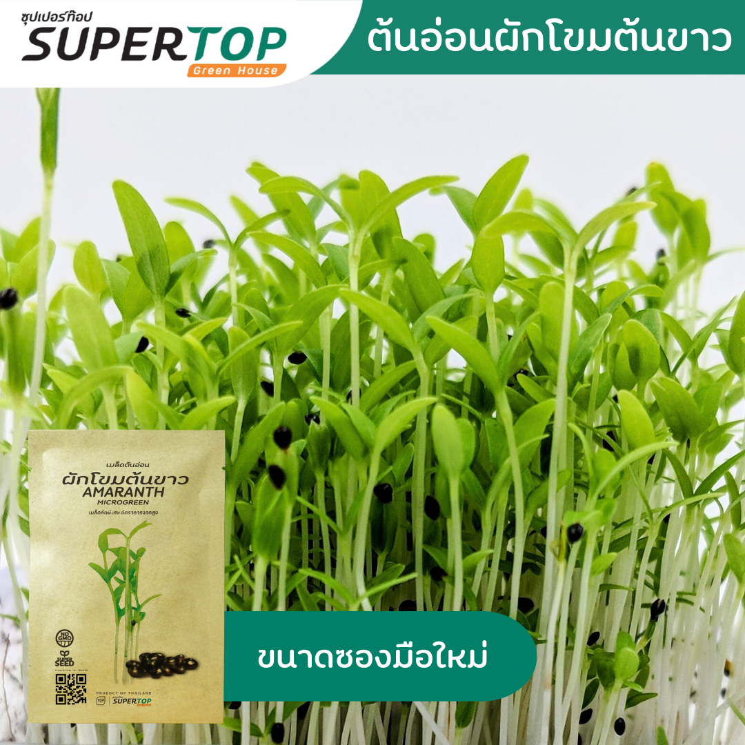 เมล็ดเพาะต้นอ่อน (Microgreen) SUPERTOP | Non-GMO ขนาดซองมือใหม่