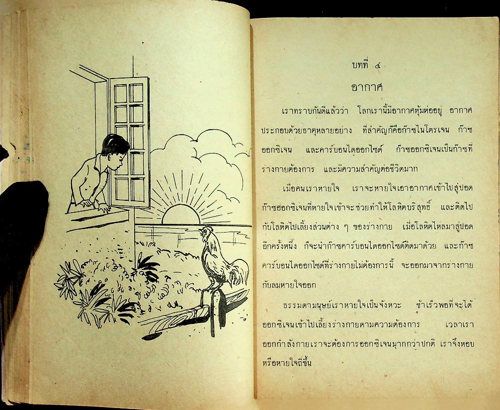 แบบเรียนพลานามัย วิชา สุขศึกษา ชั้นประถมปีที่ ๕