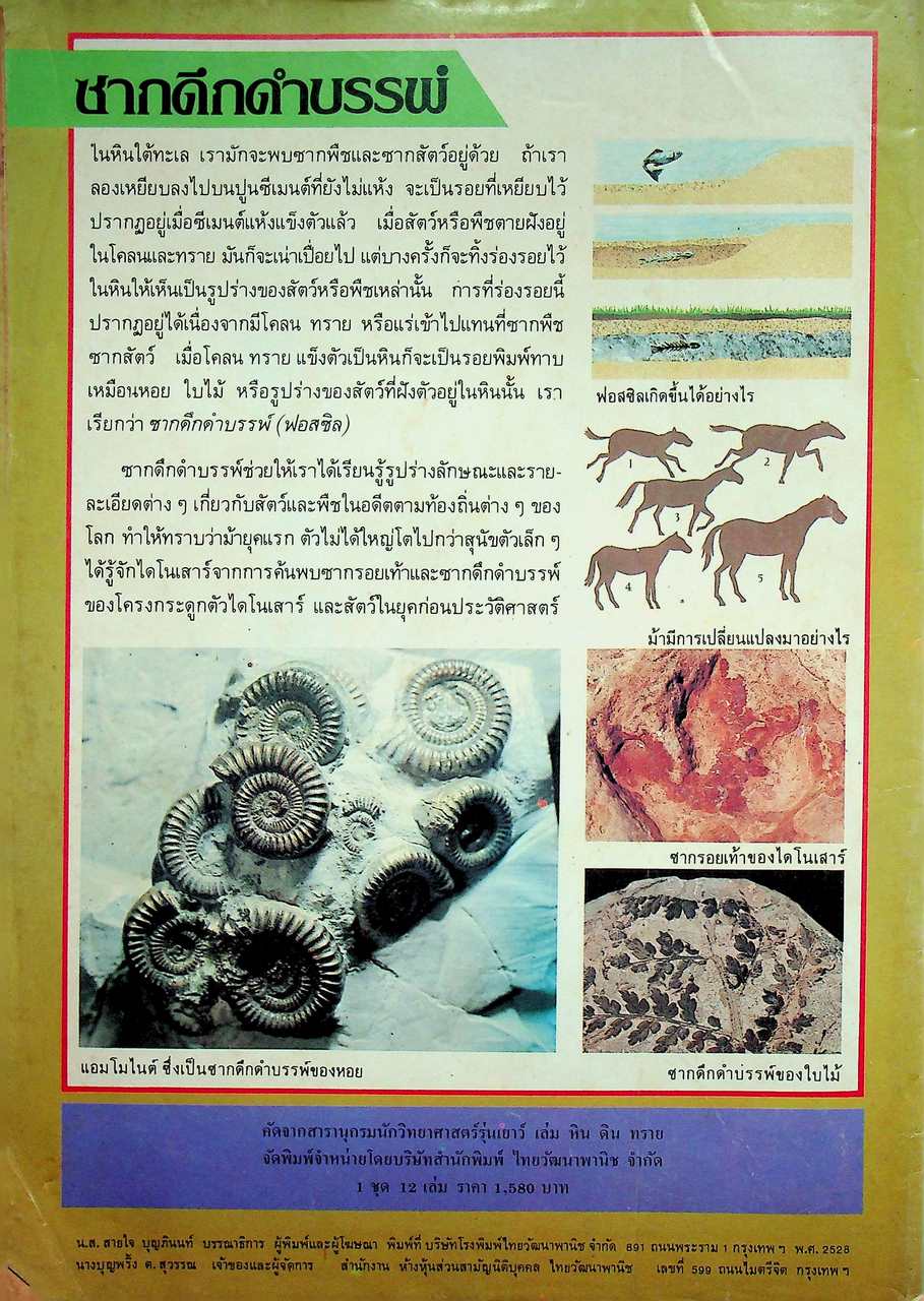 ชัยพฤกษ์วิทยาศาสตร์ ปีที่ 32 ฉบับที่ 15 : สิงหาคม 2528 : 182