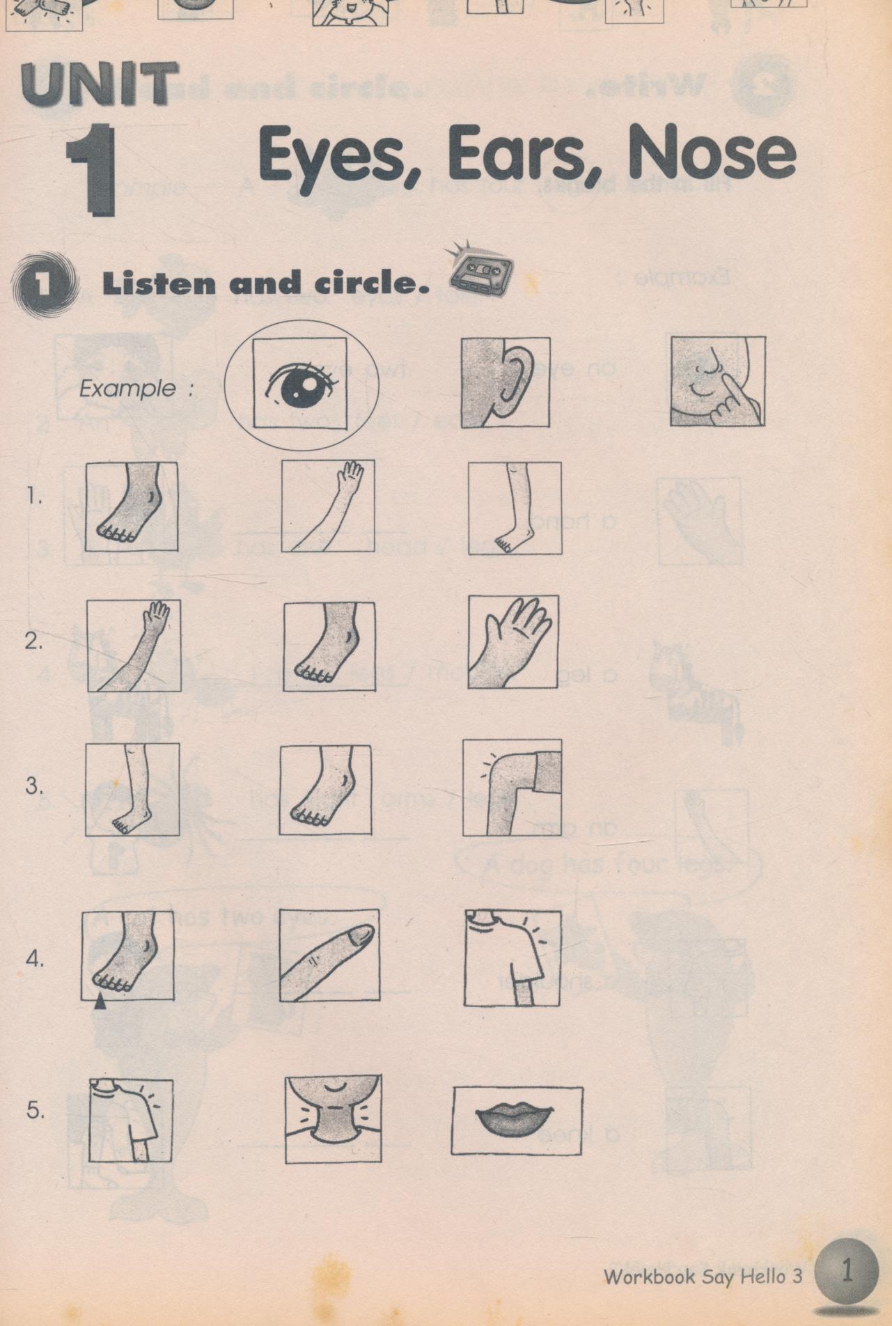 WORKBOOK Say Hello 3
