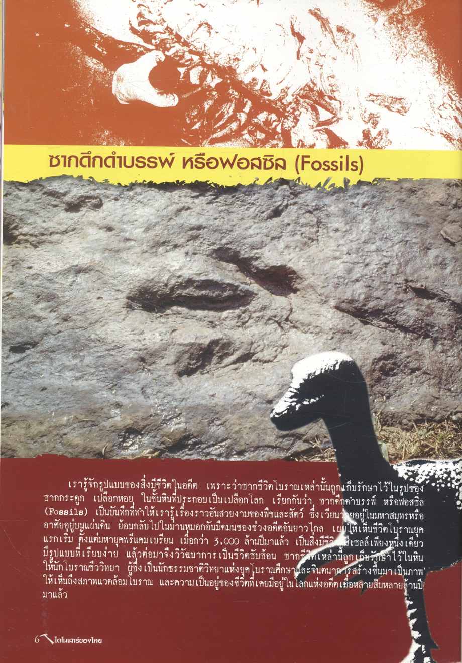 ไดโนเสาร์ของไทย