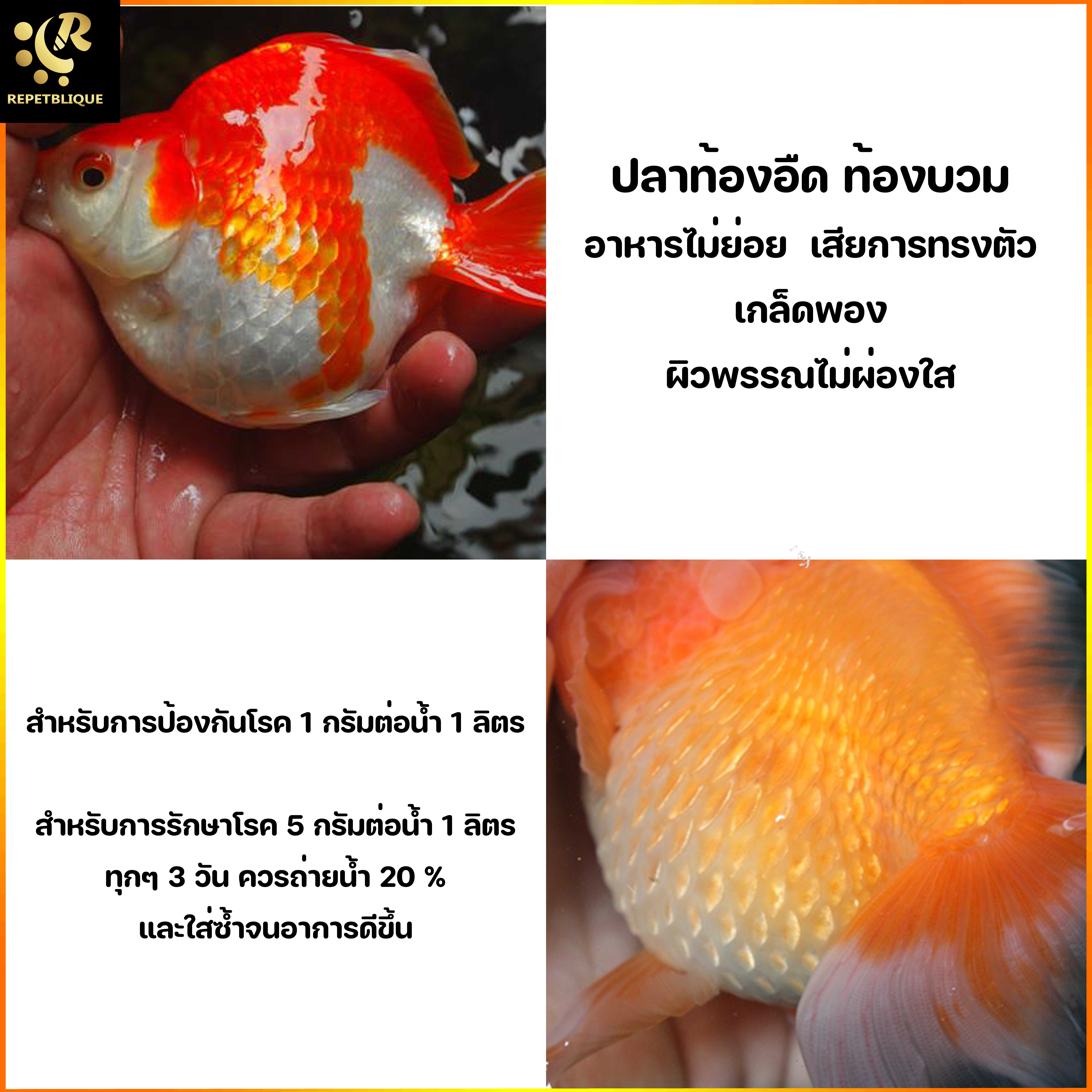 Epsom Salt 500 กรัม ปลาท้องบวม ตาบวม ท้องอืด ปรับสมดุลย์ เกล็ดพอง ทองลอย ท้องบวม ช่วยปรับสมดุลย์น้ำ ป้องกันโรค ปลาตกเลือด ดีเกลือ ดีเกลือฝรั่ง Marine Plus