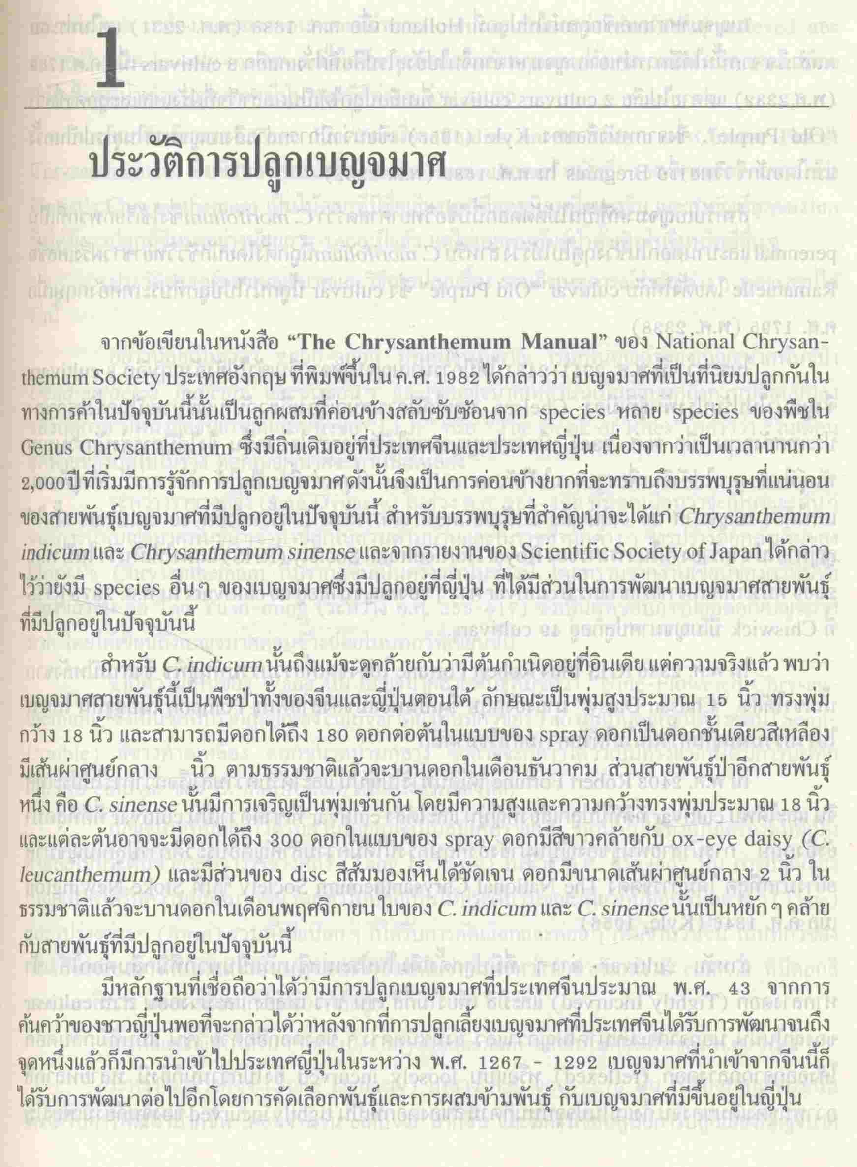 เบญจมาศ