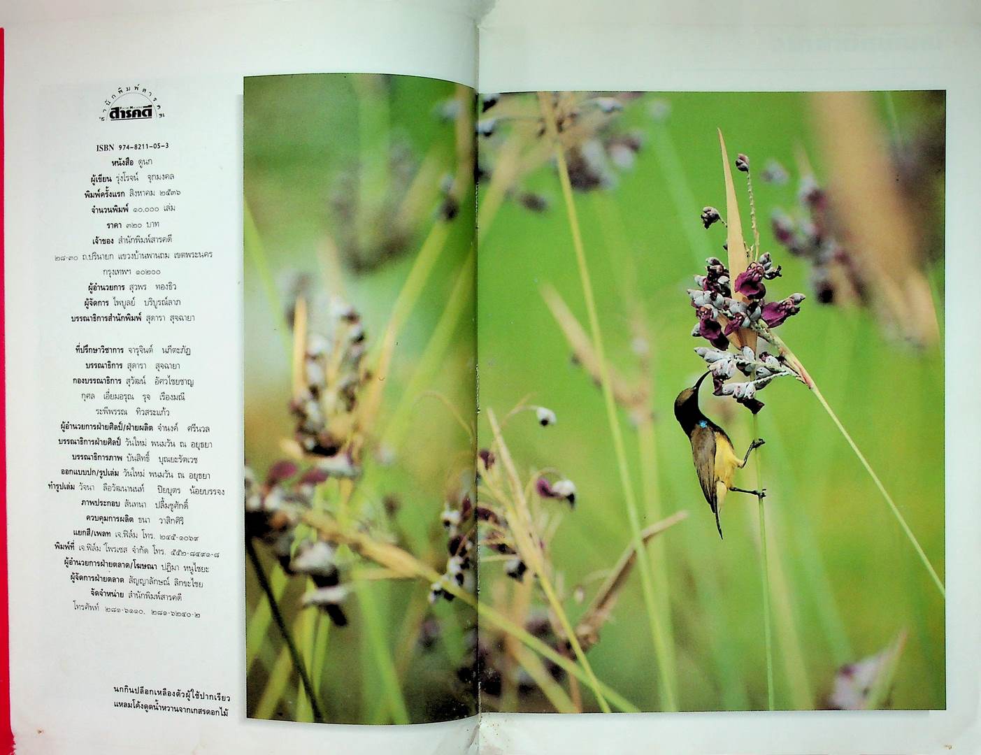 ดูนก รวมความรู้เรื่องนก และคู่มือสำหรับผู้สนใจดูนก