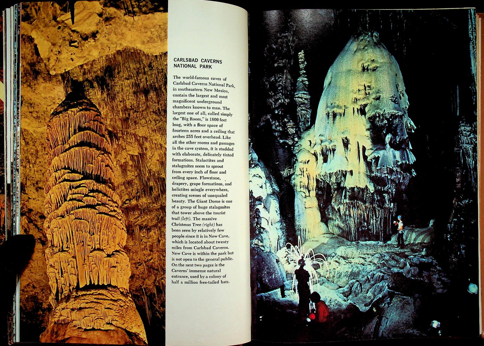 The Life of the Cave