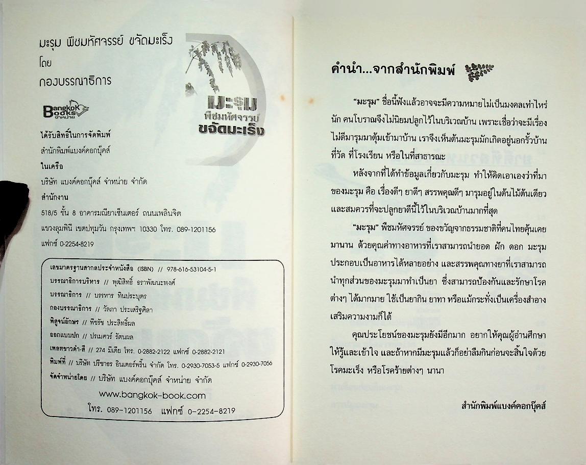 มะรุม พืชมหัศจรรย์ขจัดมะเร็ง