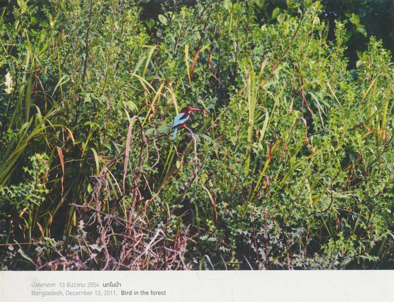 ควงกล้องท่องโลก ภาพถ่ายฝีพระหัตถ์ในสมเด็จพระเทพรัตนราชสุดา สยามบรมราชกุมารี 2554-2555