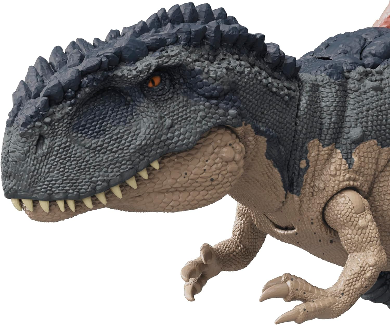 **MTS Toys**Mattel Jurassic World Gigantic Trackers : HTK81 Mapusaurus [ความยาวจากหัวถึงหาง 35 ซ.ม.]