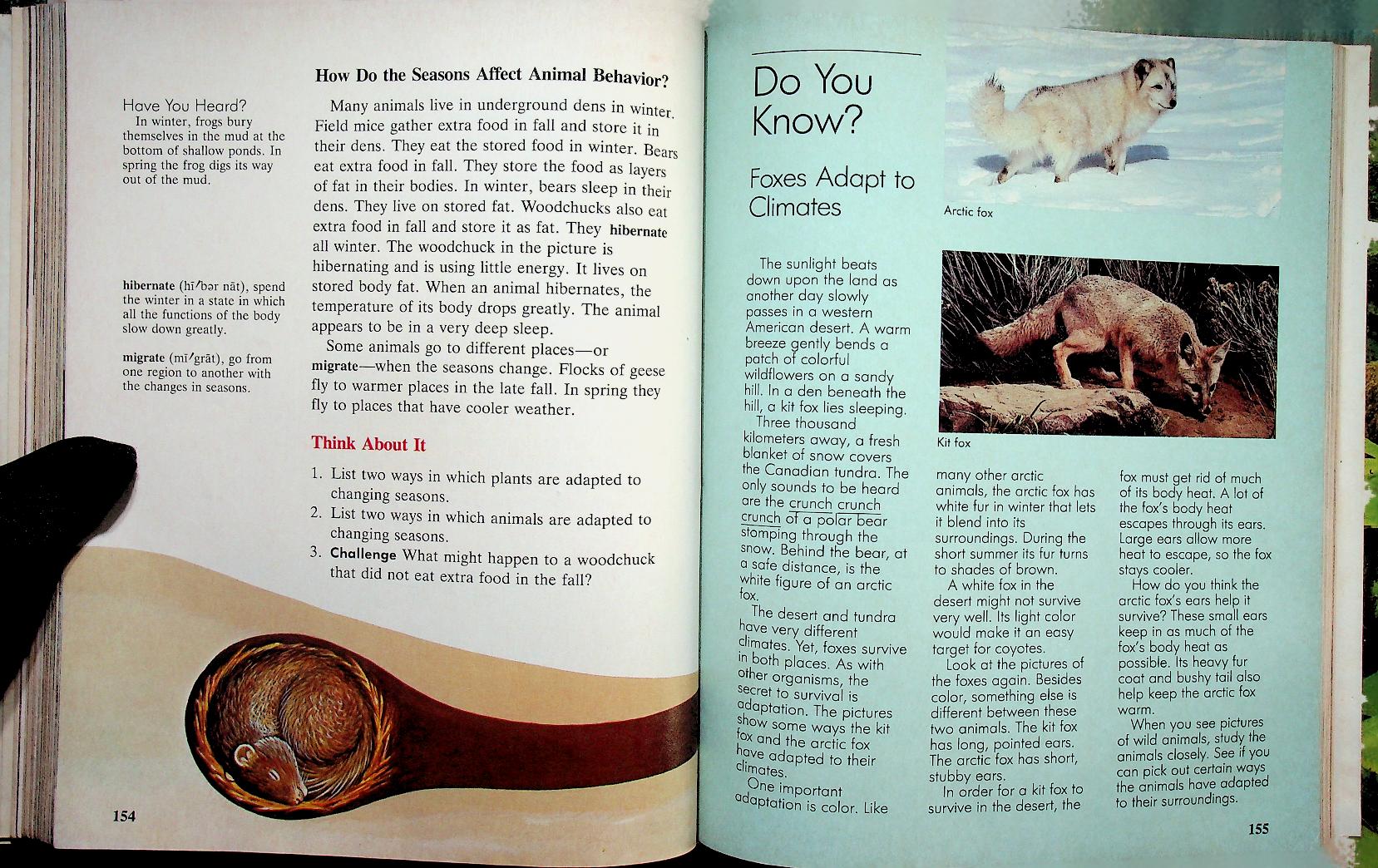 Scott, Foresman Science