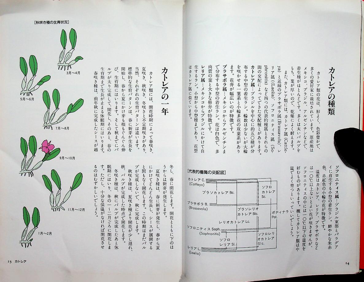 JOYFUL GREEN LIFE : Orchid (ดอกกล้วยไม้ ฉบับภาษาญี่ปุ่น)