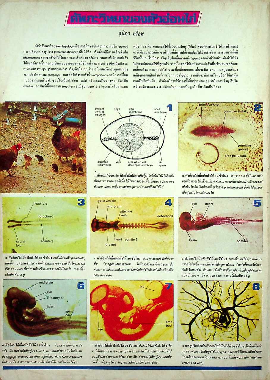 เพื่อนเรียน เพื่อนักเรียนมัธยมปลาย ฉบับวิทย์ ปีที่ 2 ฉบับที่ 9 และ 10 ม.ค. - ก.พ. 2525