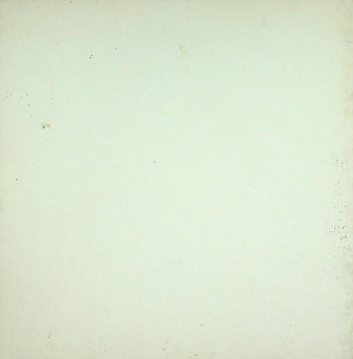 นิทานสำหรับเด็ก กระต่ายเมืองผจญภัย