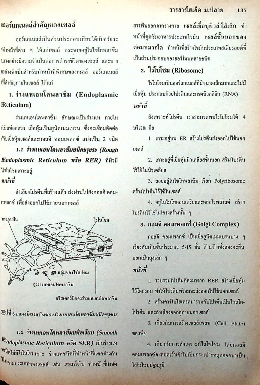 วารสารไฮเอ็ด ม.ปลาย (วิทย์) เล่มที่ 2 ฉบับรวมเล่ม ปีที่ 2 ฉบับที่ 5-7 (ก.ย.-พ.ย.) 2540