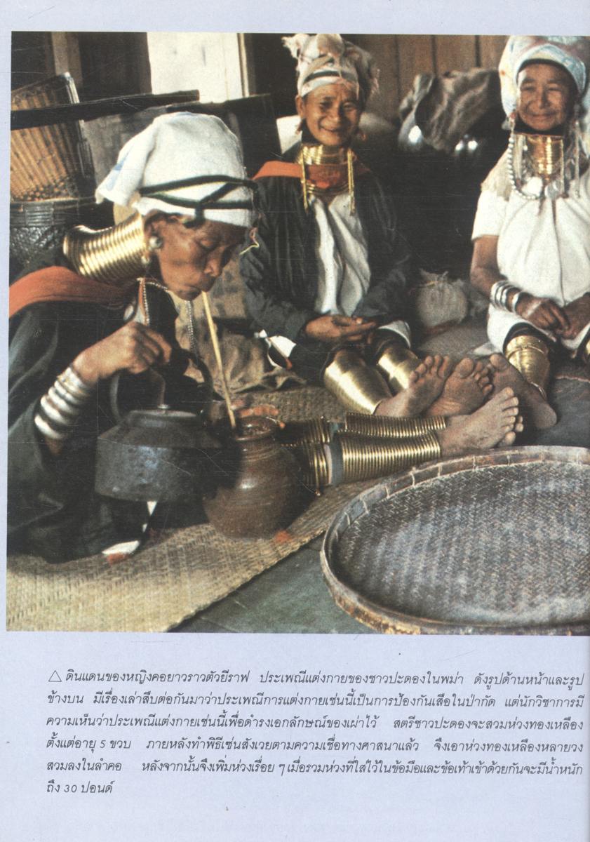 วัฒนธรรมเปรียบเทียบ เอเชียอาคเนย์ ประวัติความเป็นมา เศรษฐกิจ การเมือง และสังคม เล่ม 2