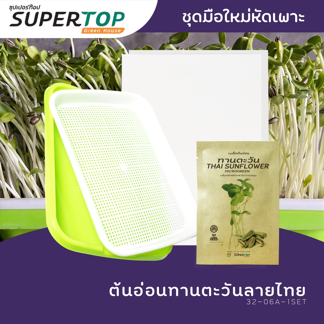 ชุดทดลองเพาะมือใหม่ (แบบไร้ดิน) SUPERTOP | Planting Kit Microgreen