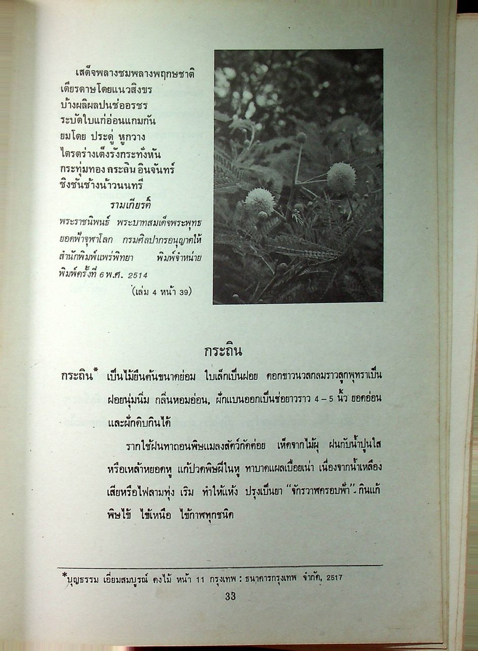 ดอกไม้ในวรรณคดีไทย (มีภาพประกอบขาวดำ)