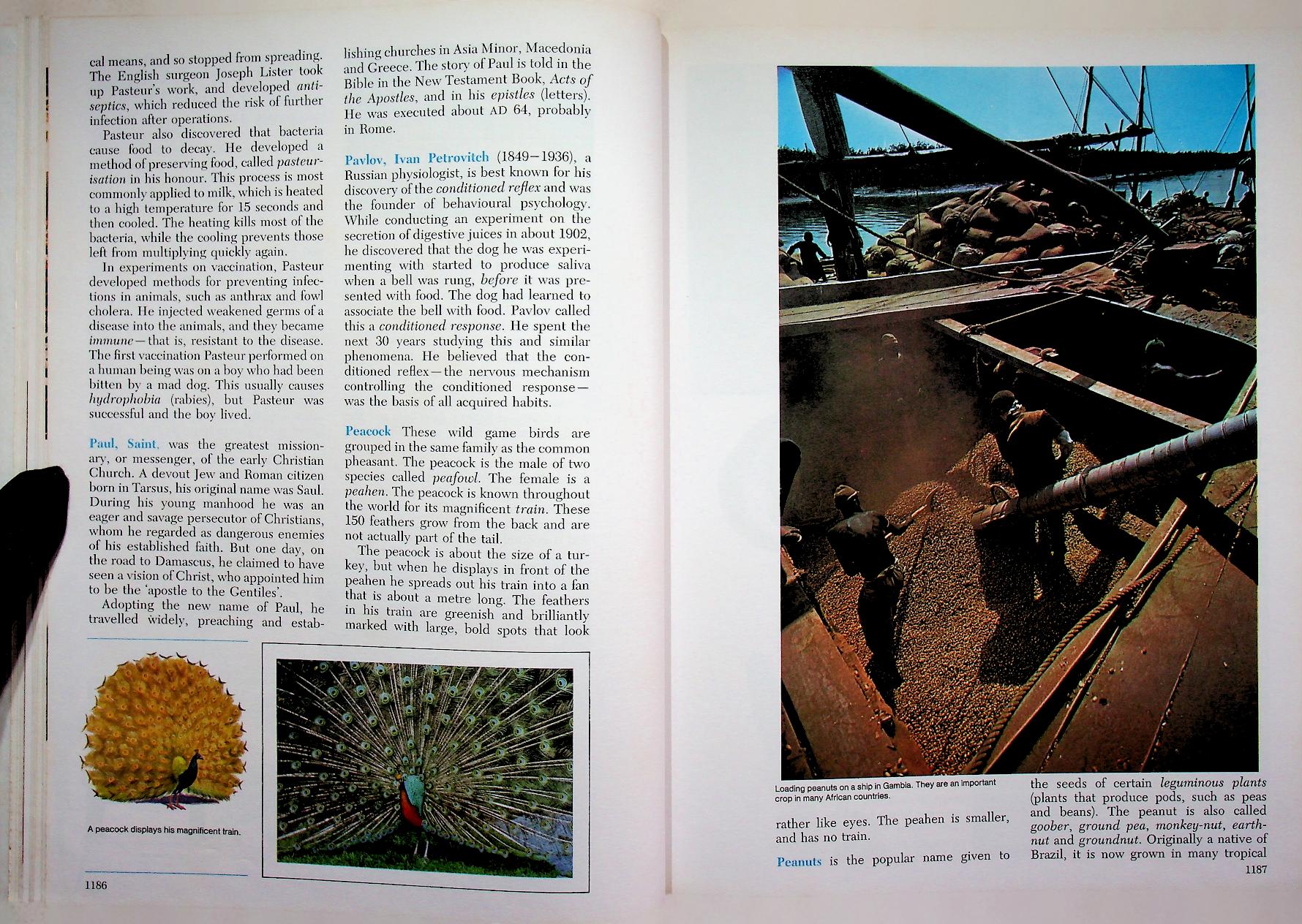 The 21st Century JUNIOR WORLD Encyclopedia 8