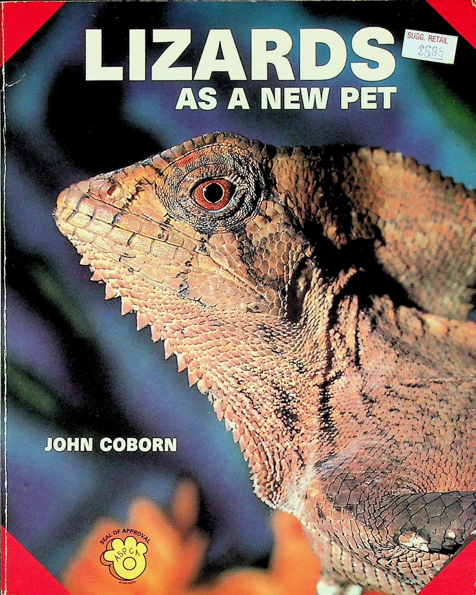 LIZARDS AS A NEW PET