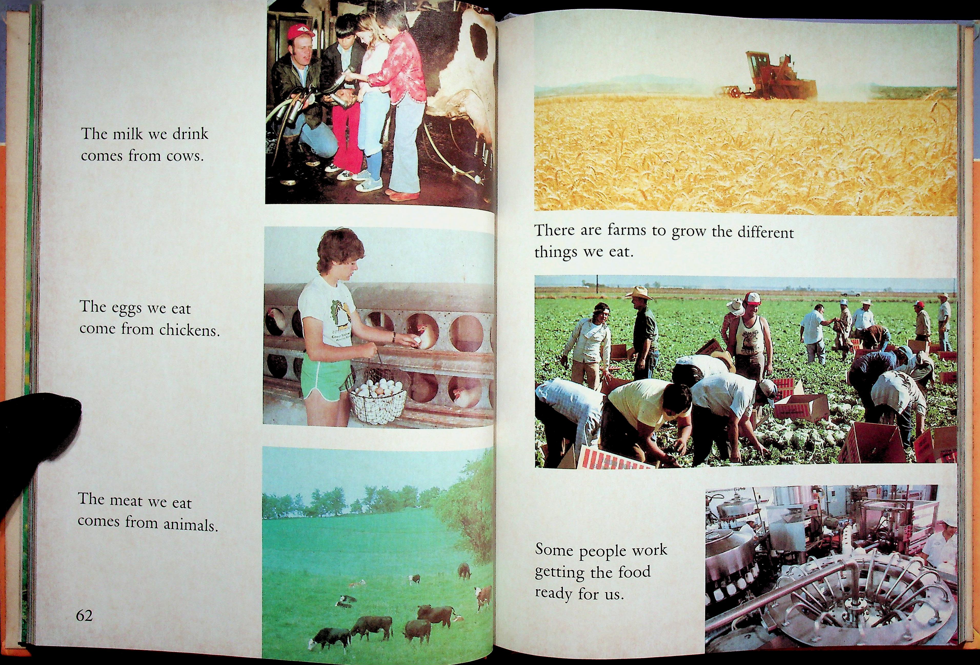 SCOTT, FORESMAN SOCIAL STUDIES Families and Friends