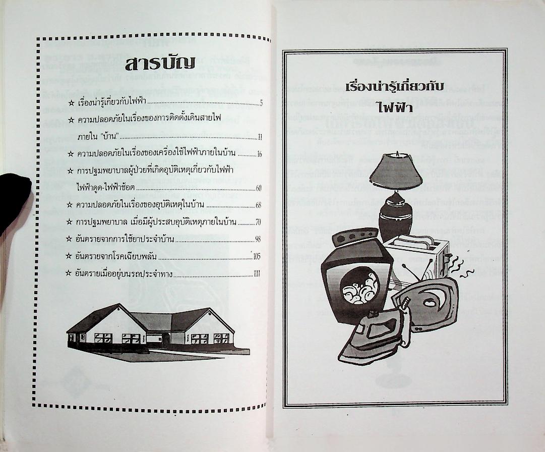 มหันตภัยภายในบ้าน