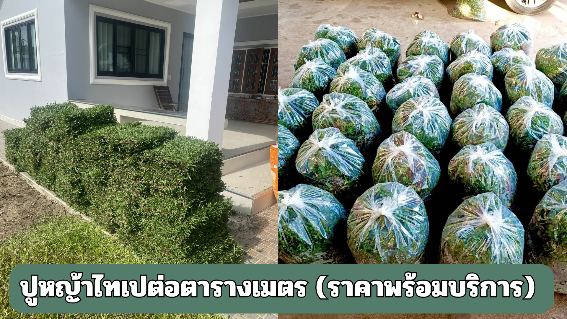 ติดตั้งหญ้าไทเป